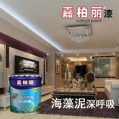 嘉柏丽硅藻泥 打造宁静健康室内空间的理想选择