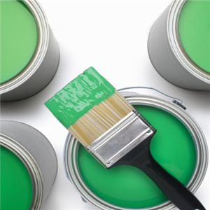 盛新涂料加盟店装修图与装饰涂料展示